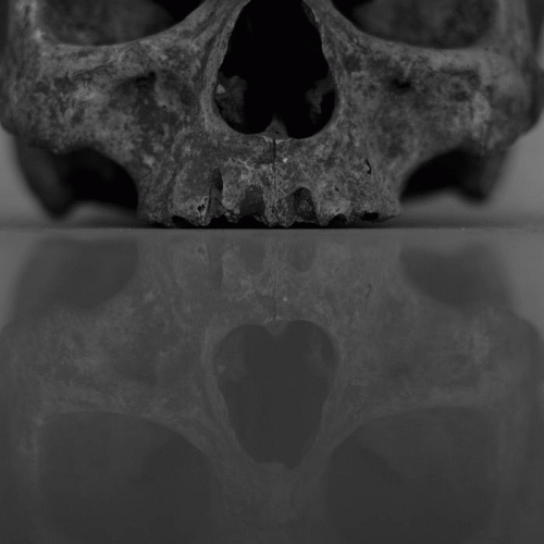 Coldworld : We Are Doomed